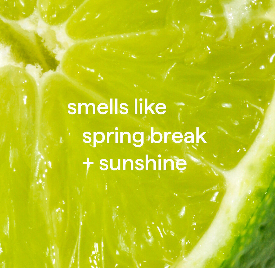 allrengöringsservetter