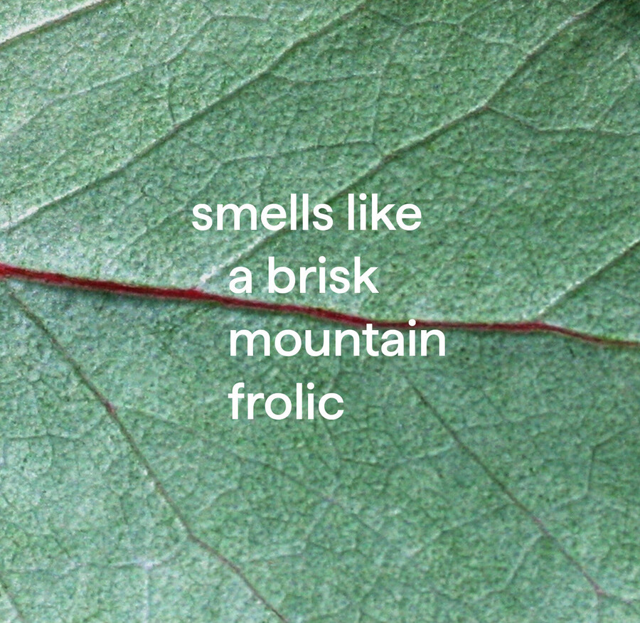 skumbadkar kakelrengöring