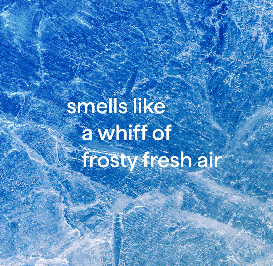 antibakteriell toalettrengöring