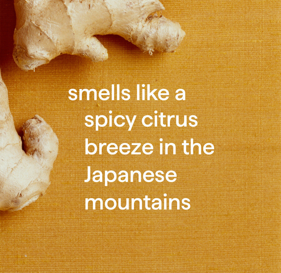 spruta mopp rengöringsmedel för hårda golv