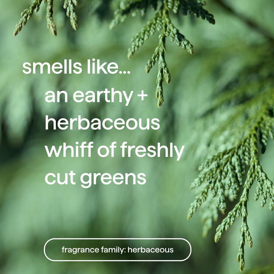 herr duschkräm trio 240 g.