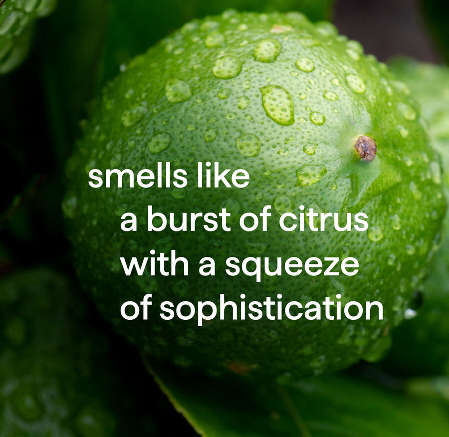 2-i-1 schampo balsam