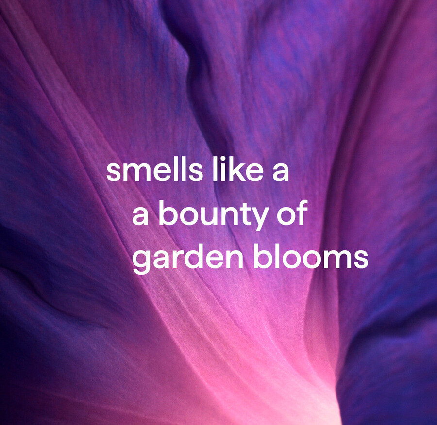 startset med skummande handtvätt